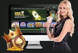 33333bet